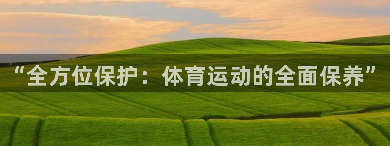 球王会体育