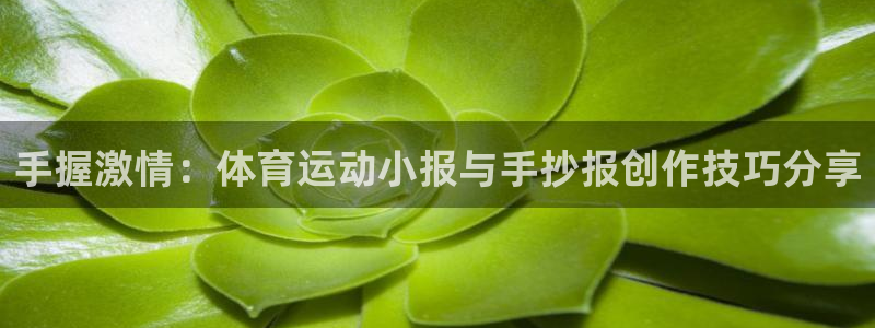 球王会体育
